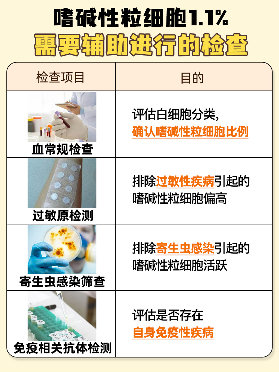 一文解析:嗜碱性粒细胞1.1%严重吗?