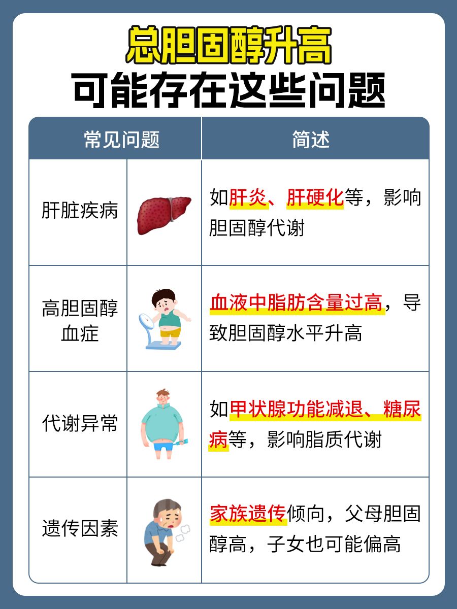 总胆固醇=低密度+高密度?揭秘胆固醇真相