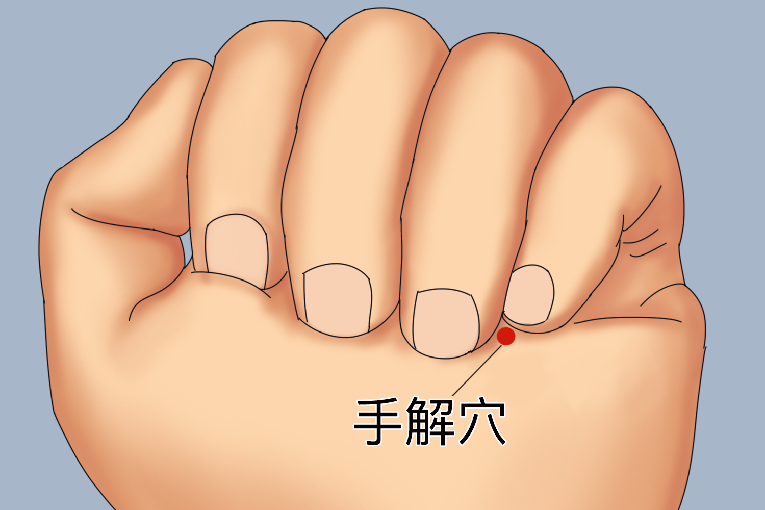 手解穴的位置图