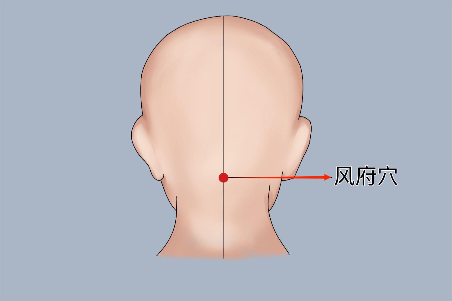 风府穴:位于项部,当后发际正中直上1寸,枕外隆凸直下,两侧斜方肌之间