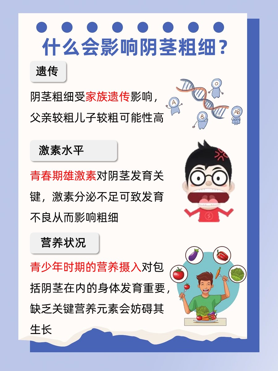 阴茎粗细：影响因素有哪些？