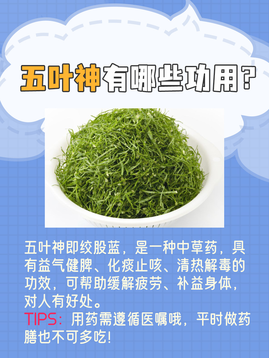 科普｜五叶神的功用和食用方法