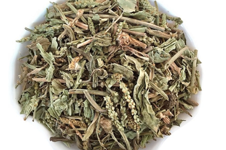 牛舌草药材外观图