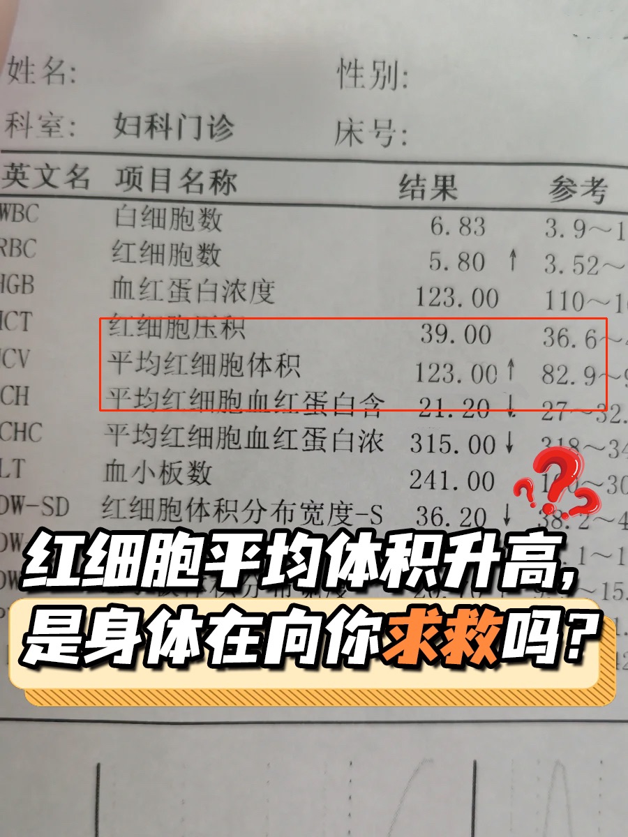 红细胞平均体积升高，是身体在向你求救吗？