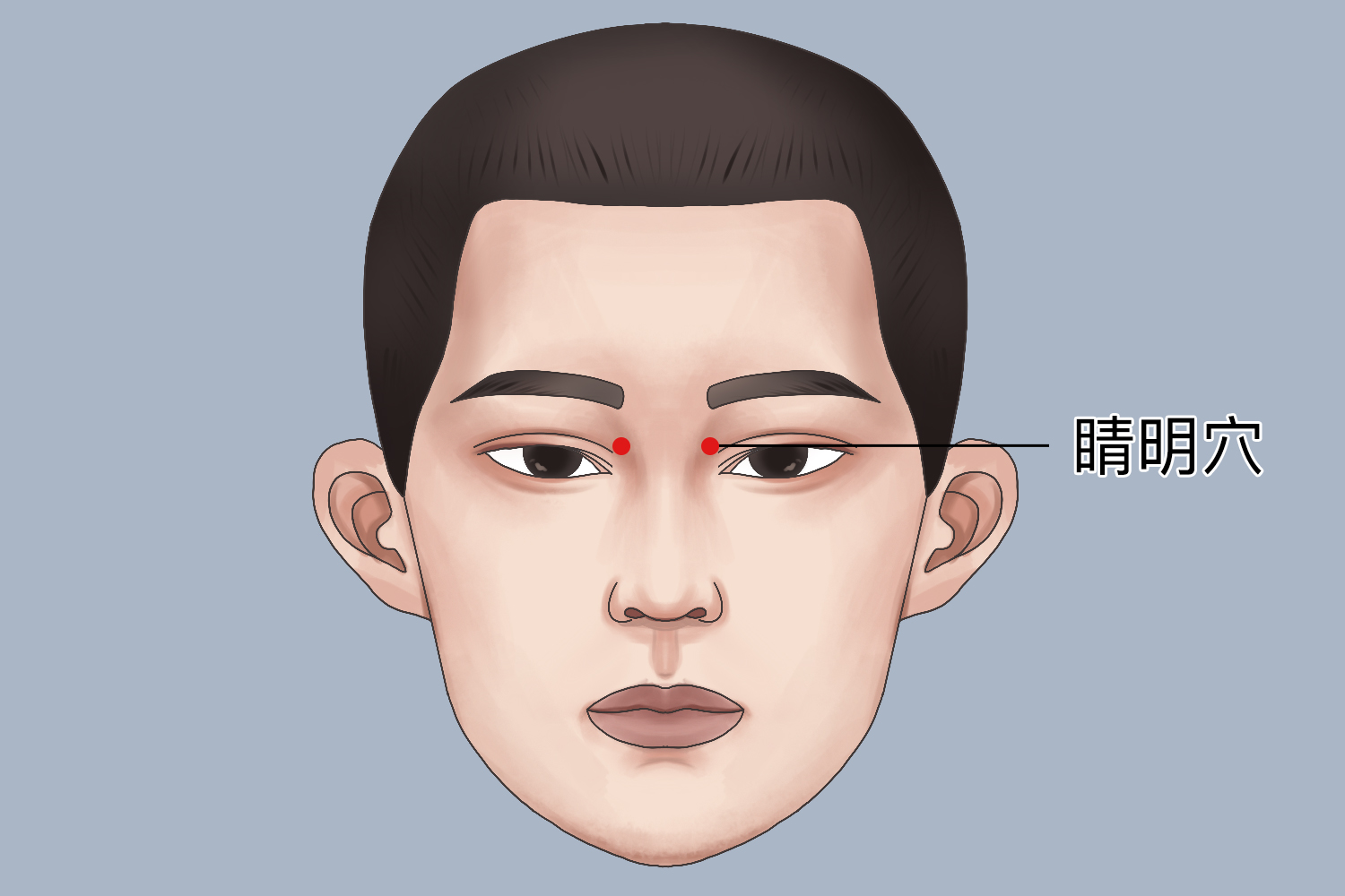 睛明位置图 睛明位置图