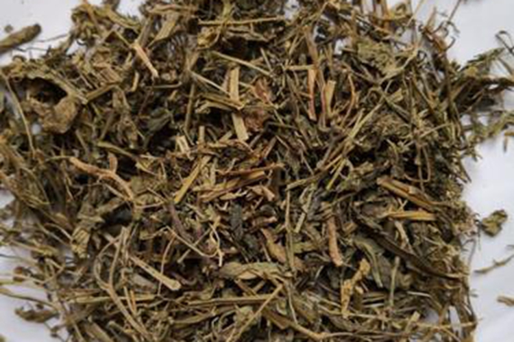 塘葛菜药材图 塘葛菜药材图