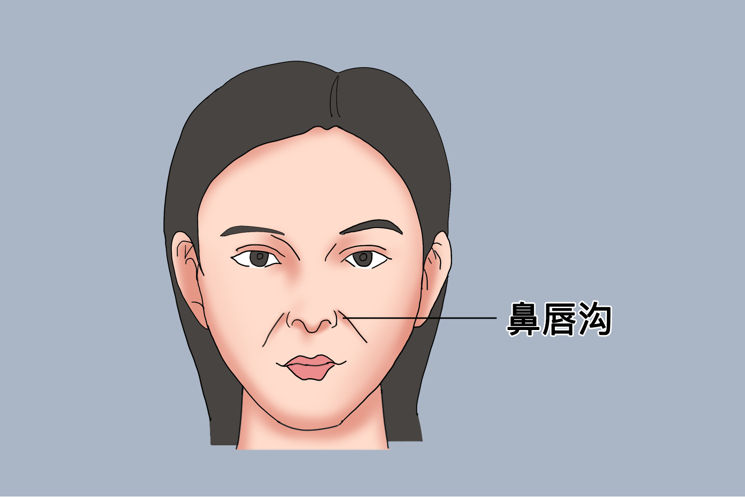 鼻唇沟正常位置图