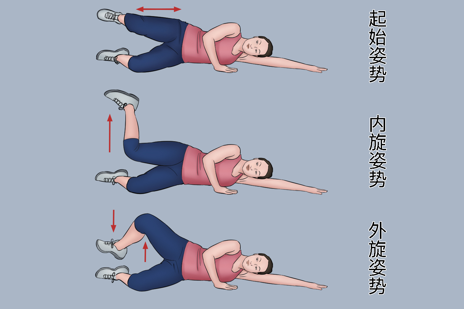 臀中肌肌力练习图