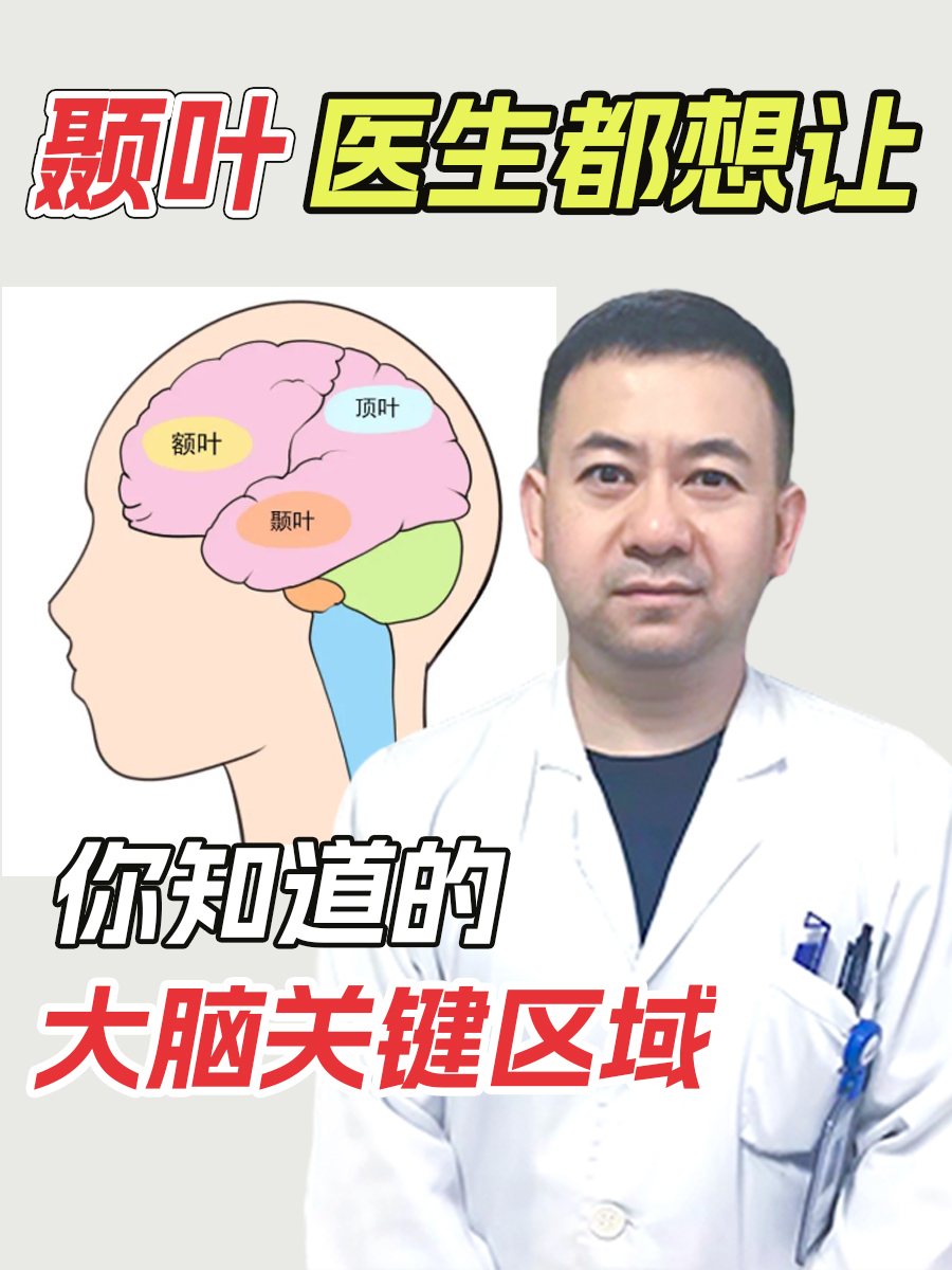 颞叶：医生都想让你知道的大脑关键区域