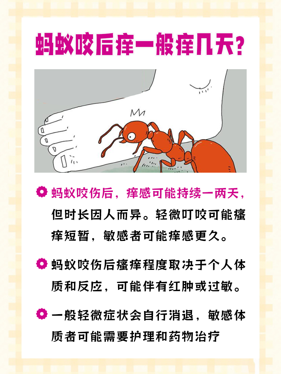 蚂蚁咬伤后的痒感：持续时间与应对策略