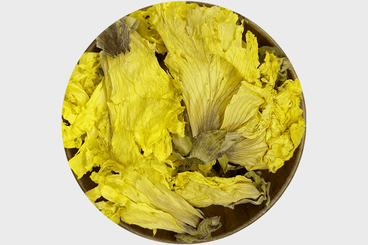 黄葵草药药材图功效与作用黄葵味微甘,性凉.入心,肺二经.