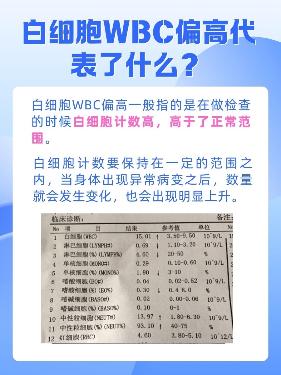 白细胞WBC偏高？我来给你讲讲这是什么意思