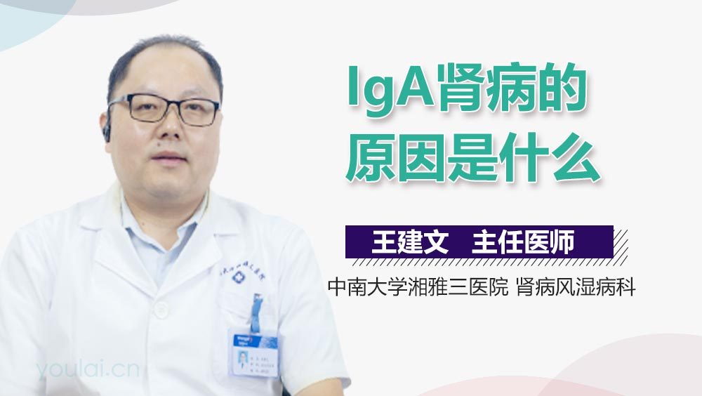 IgA肾病的原因是什么