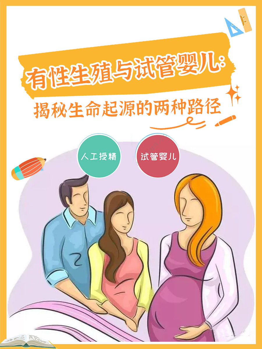 有性生殖与试管婴儿：揭秘生命起源的两种路径