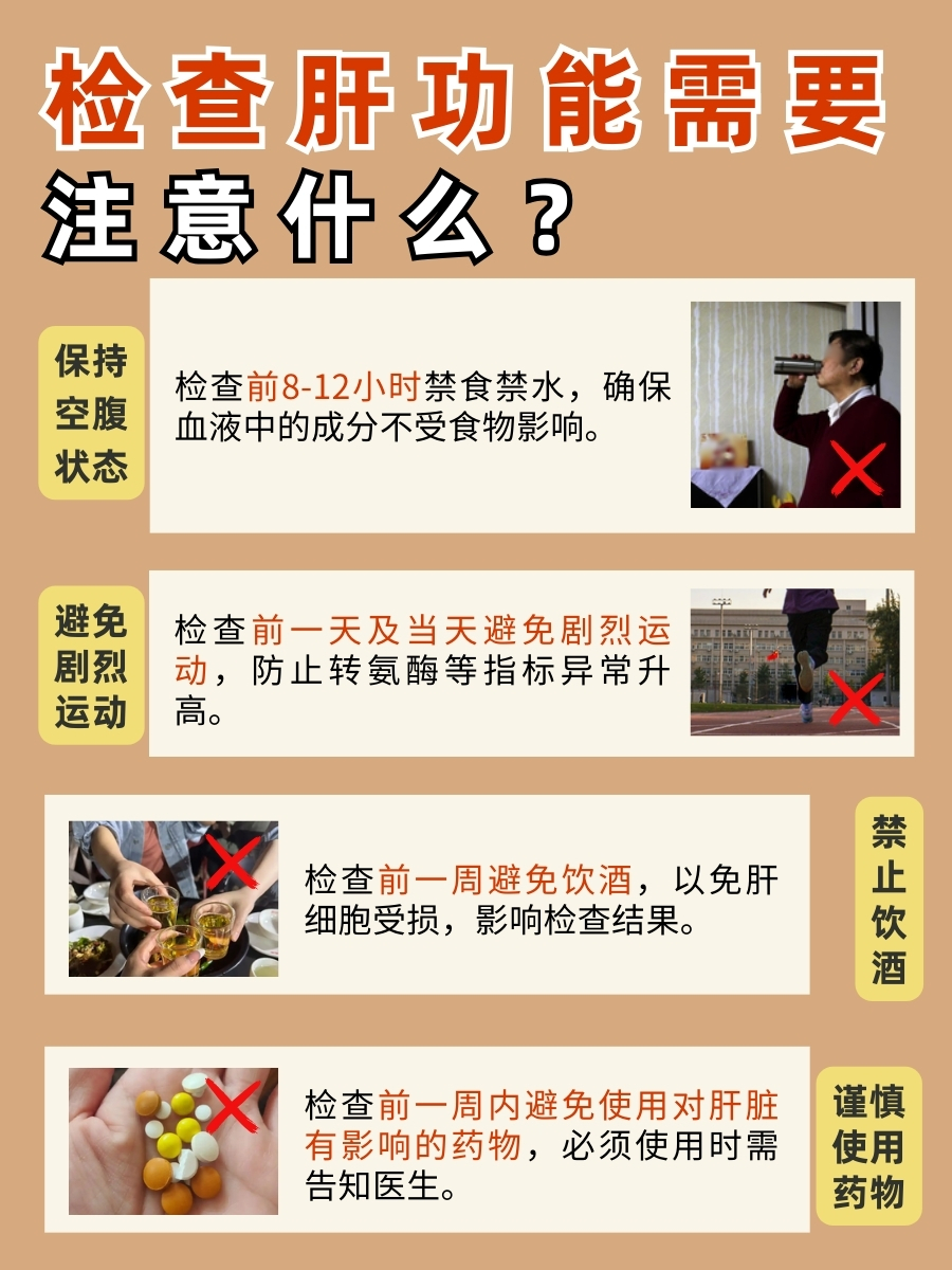 必知!同型半胱氨酸属于肝功能吗?