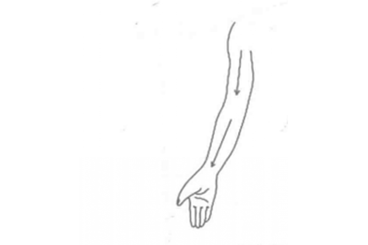 上肢内侧淋巴刮痧图 上肢内侧淋巴刮痧图