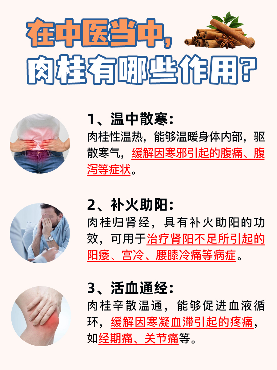 肉桂是桂皮吗？这里有答案！
