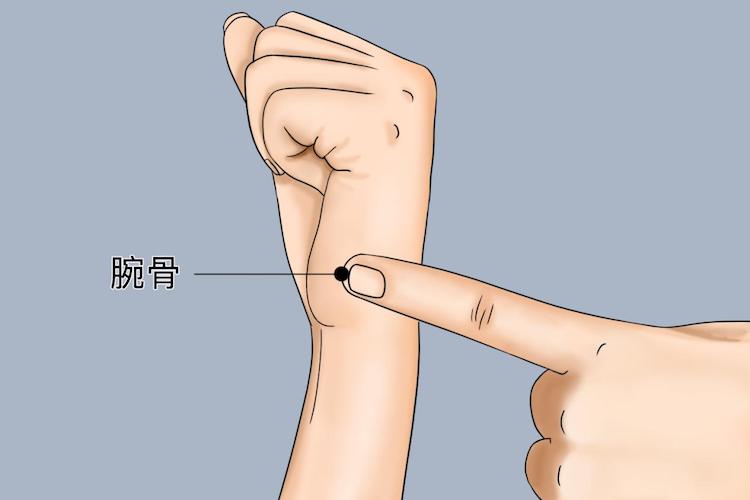 腕骨穴位置图 腕骨穴位置图