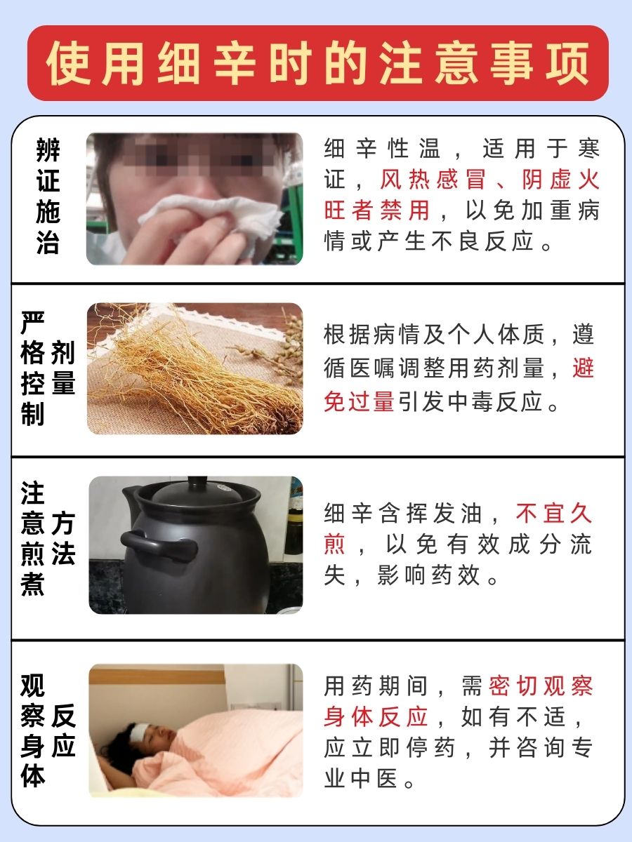 细辛:身体的“风寒驱散者”