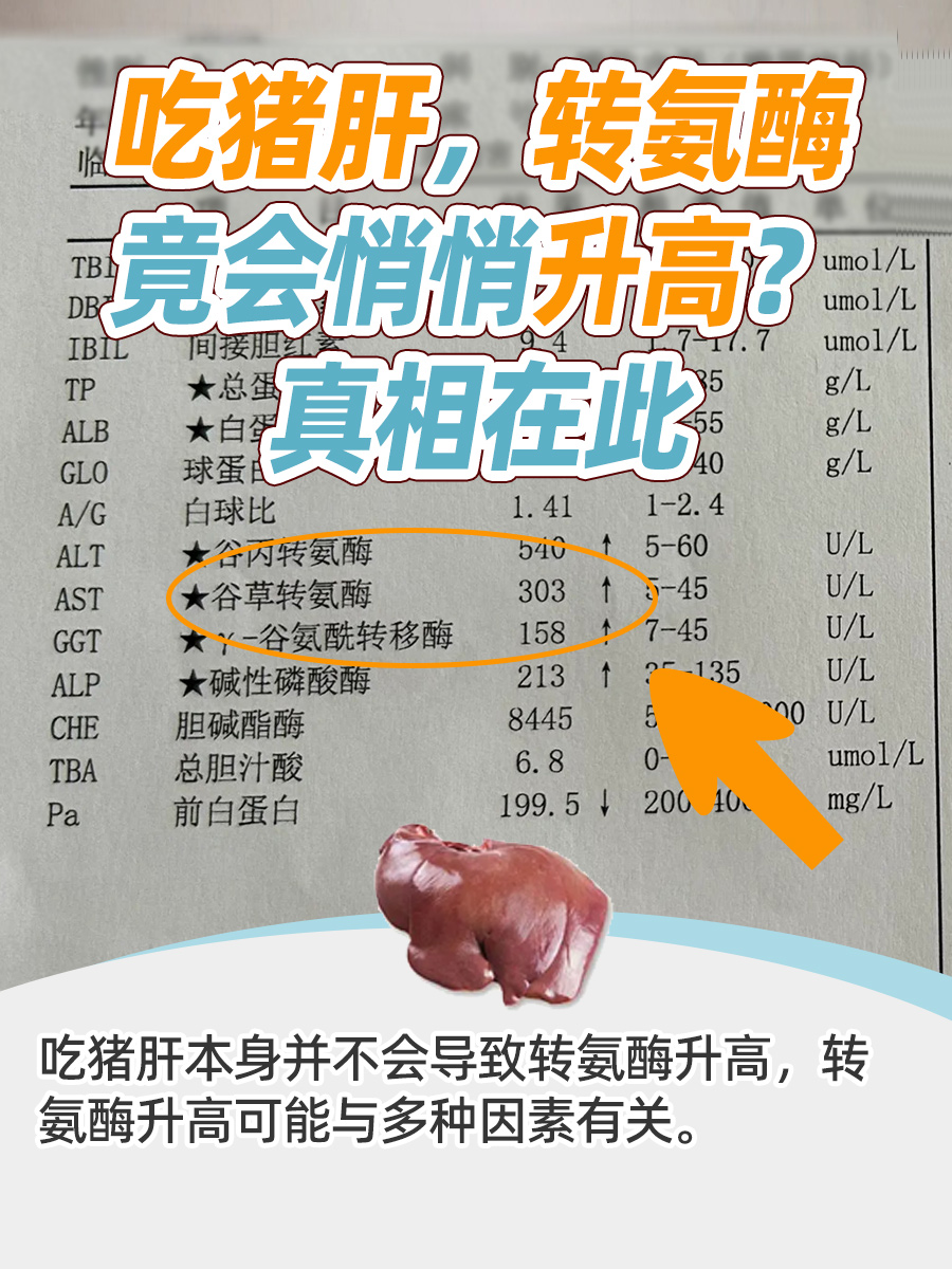 吃猪肝,转氨酶竟会悄悄升高?真相在此