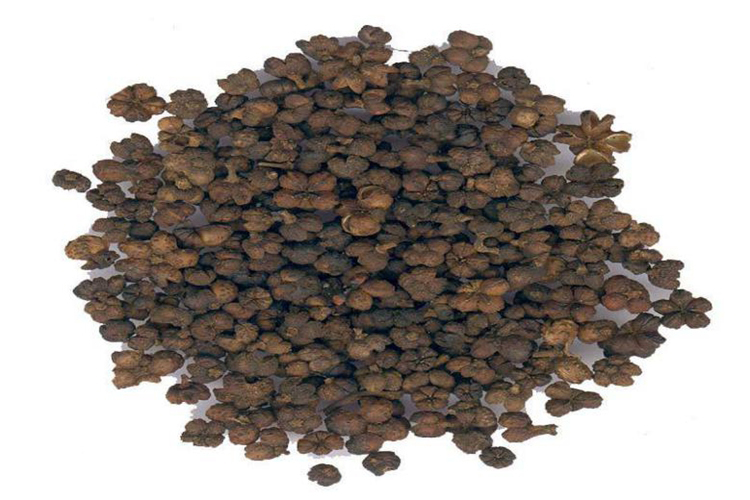 药材石虎图功效与作用吴茱萸味辛,苦,性热,有小毒,有温中散寒,疏肝