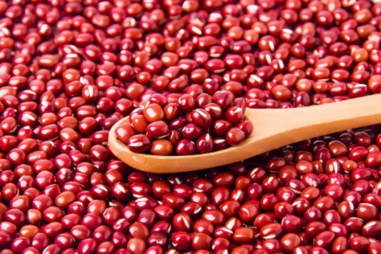 赤小豆图 赤小豆图