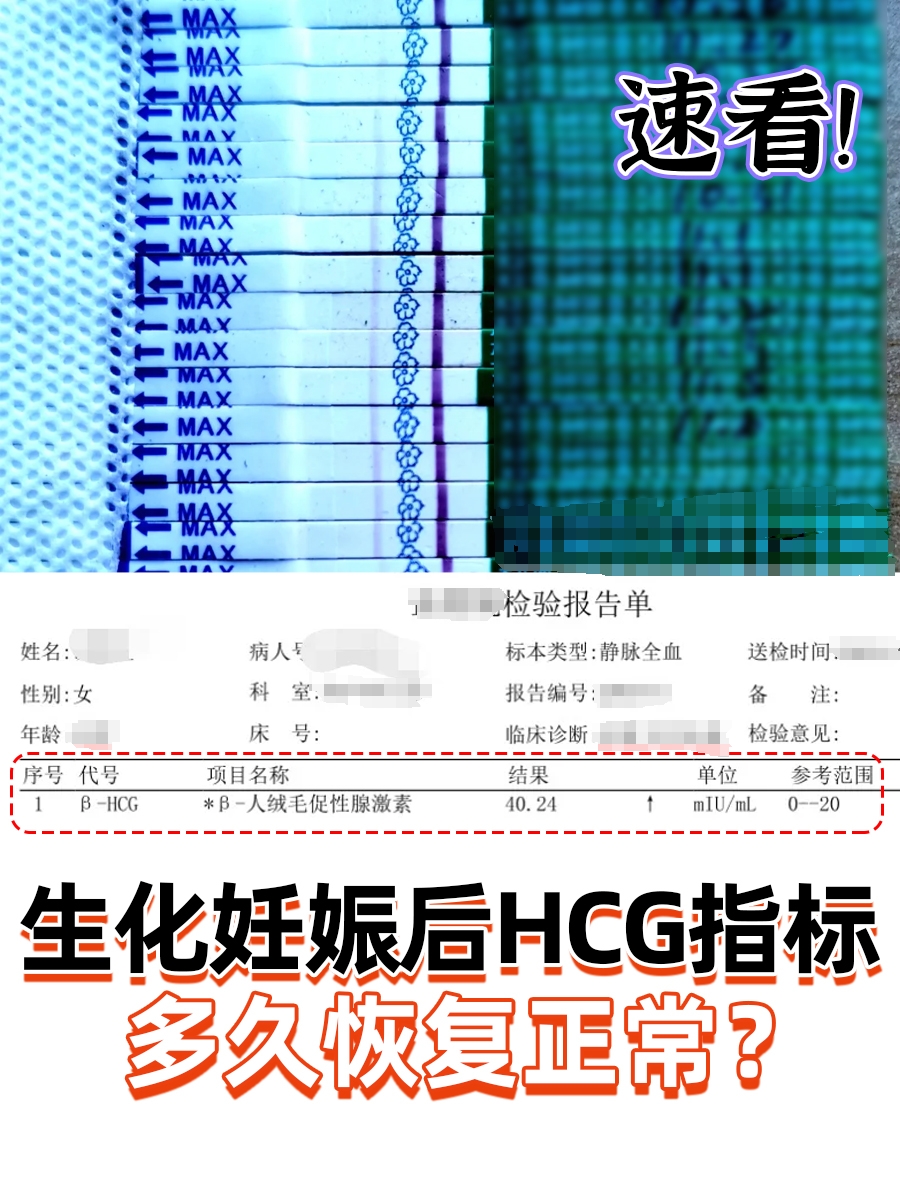 生化妊娠后HCG指标多久恢复正常?速看!