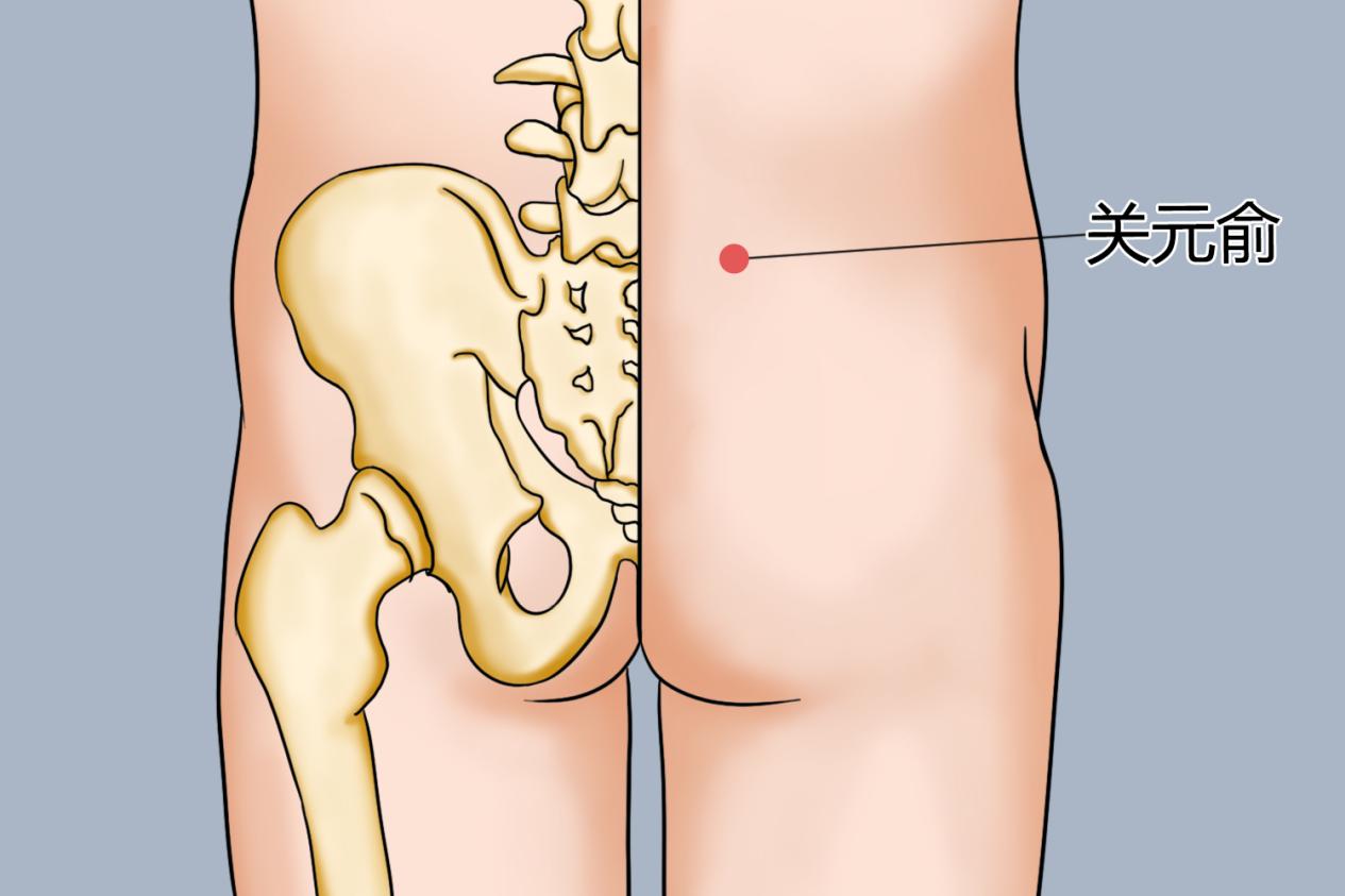 关元位置图