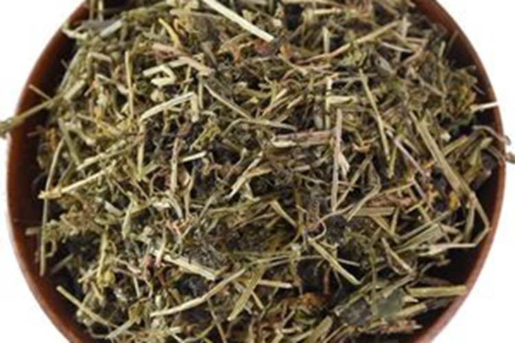 中药八仙草图 中药八仙草图