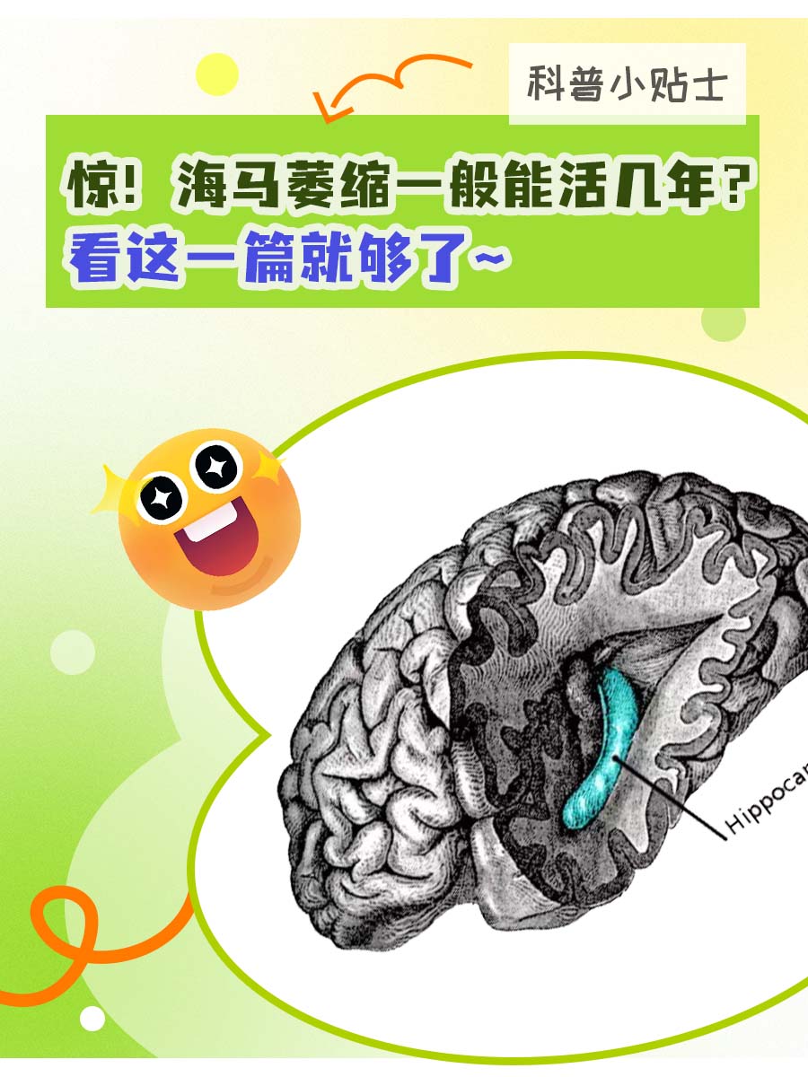 惊!海马萎缩一般能活几年?看这一篇就够了~