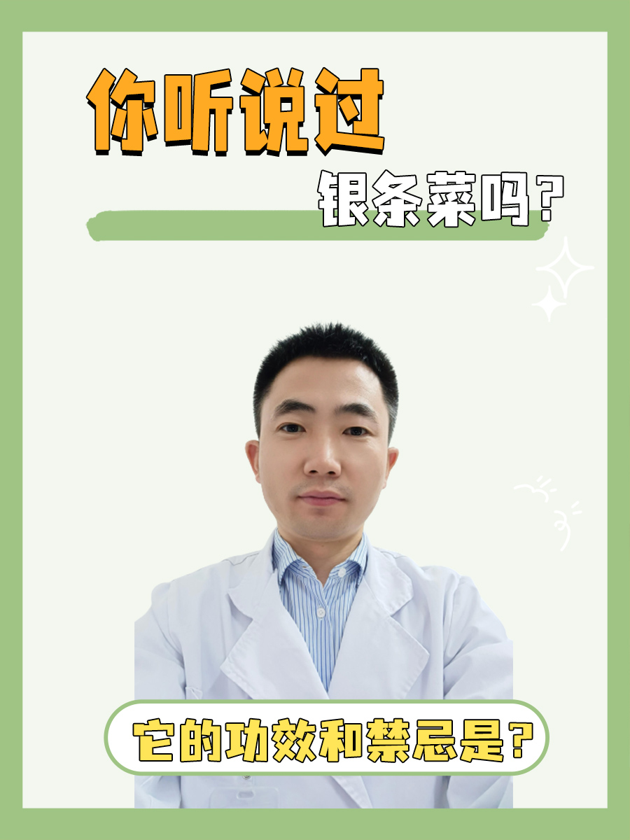 你听说过银条菜吗？它的功效和禁忌是？