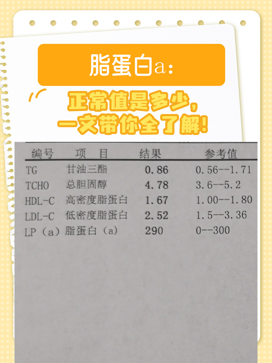 脂蛋白a：正常值是多少，一文带你全了解！
