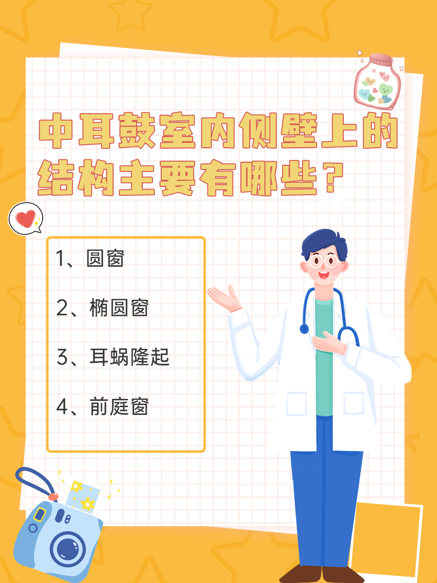 中耳鼓室内侧壁上的结构有哪些？看完这篇就懂了