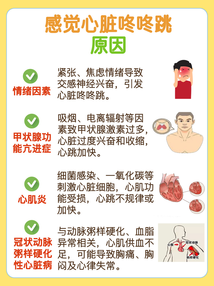 心脏如鼓，咚咚咚响？一文说清有哪些原因！