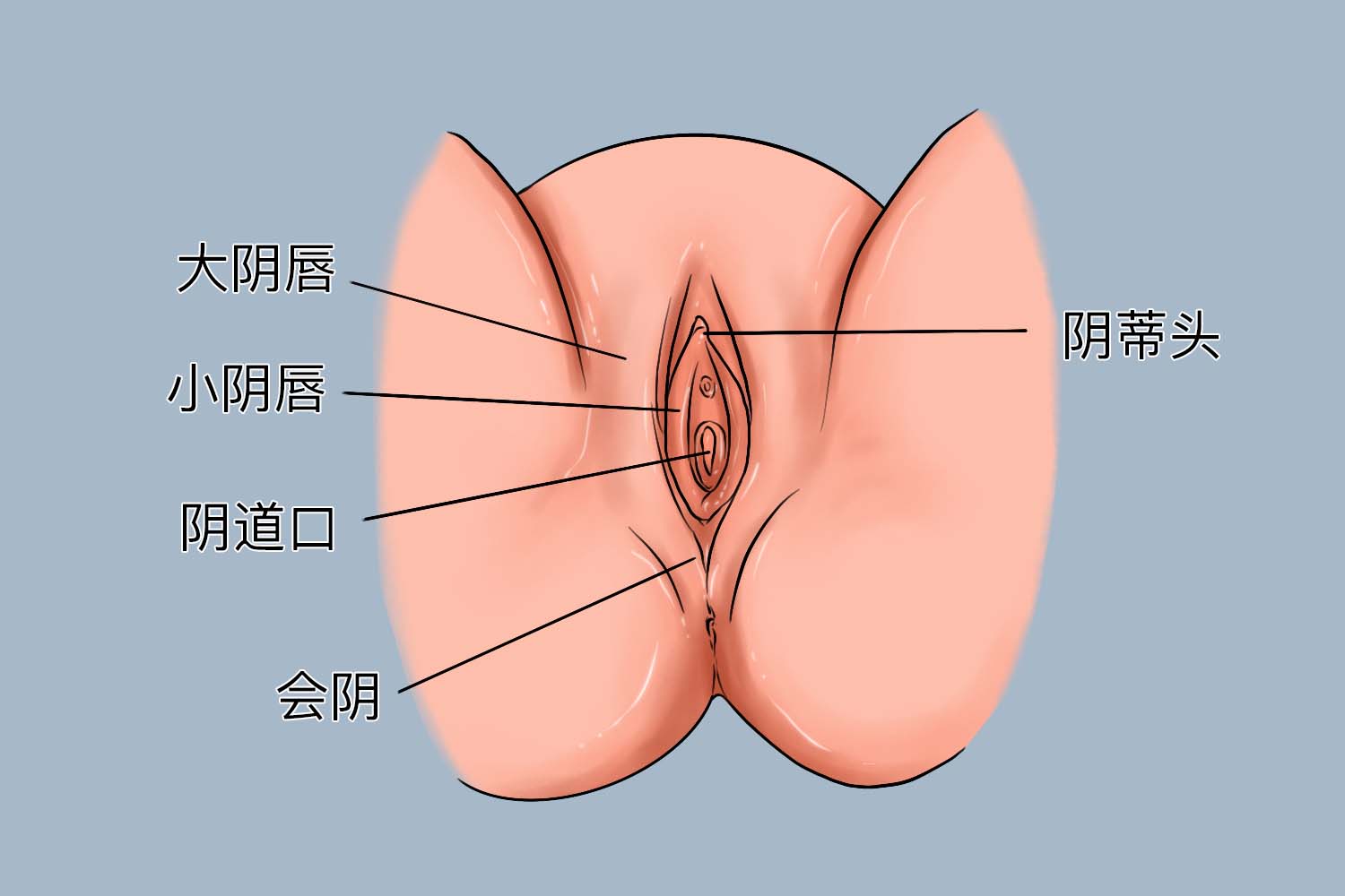 11个月女宝宝生殖器图 11个月女宝宝生殖器图