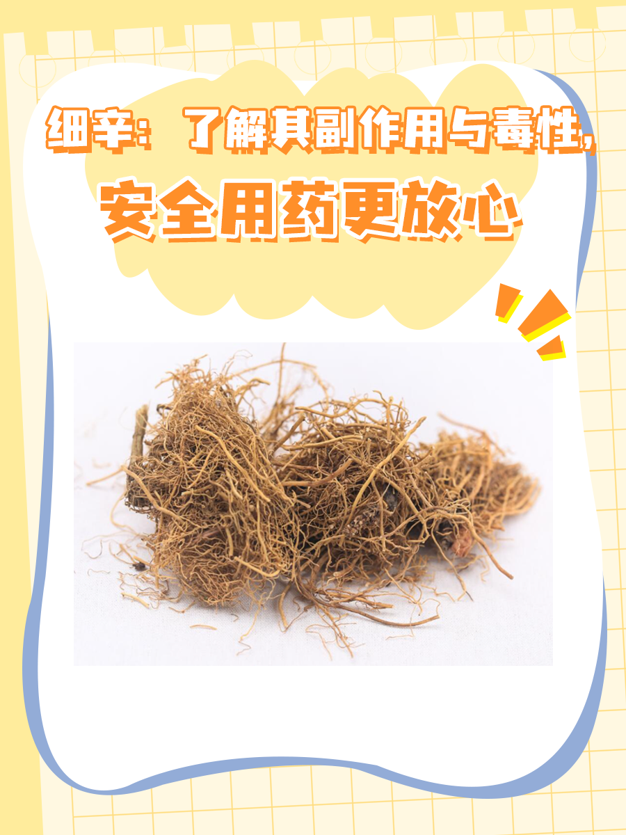 细辛：了解其副作用与毒性，安全用药更放心