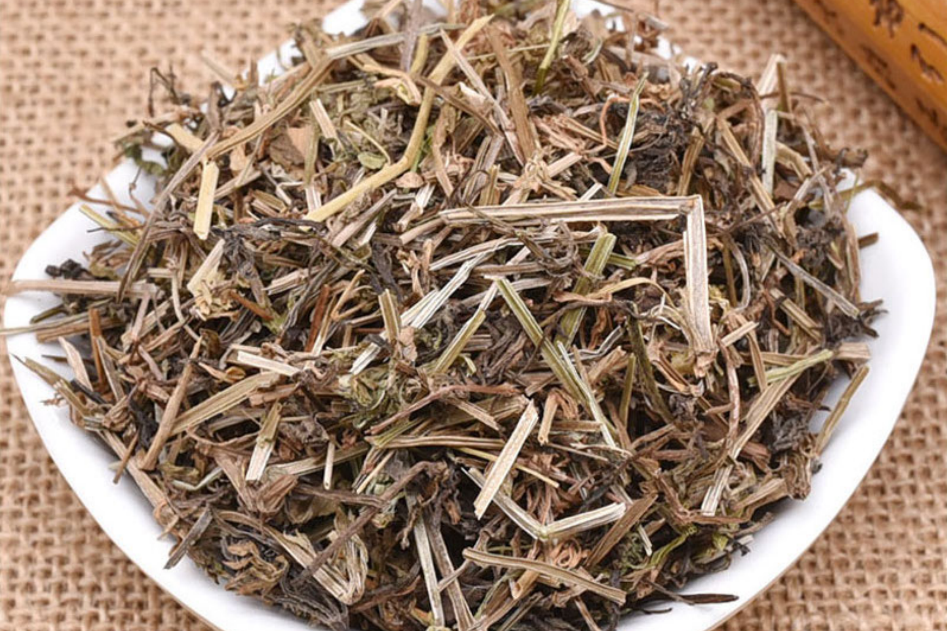 锯锯草图 锯锯草图