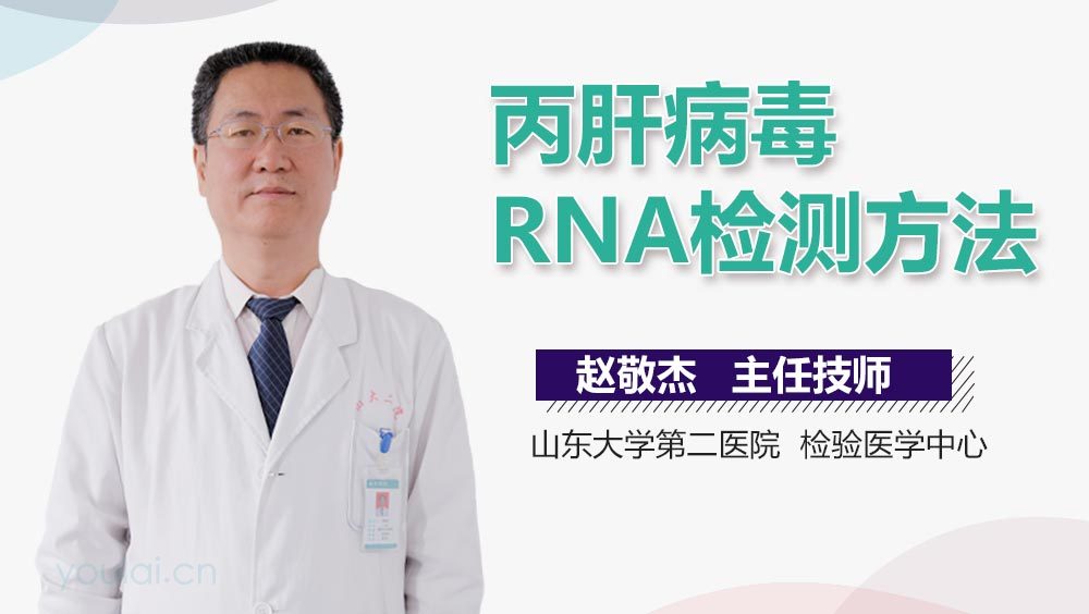 丙肝病毒RNA检测方法
