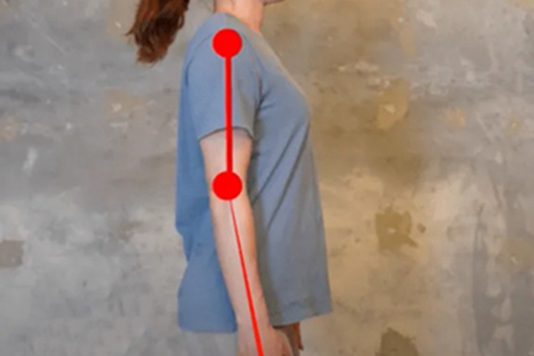 肱骨正常解剖位置图