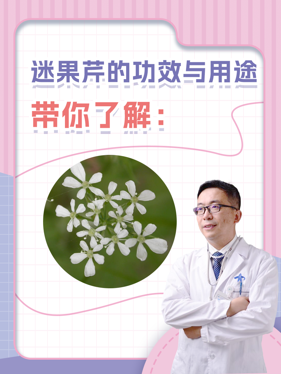 带你了解：迷果芹的功效与用途