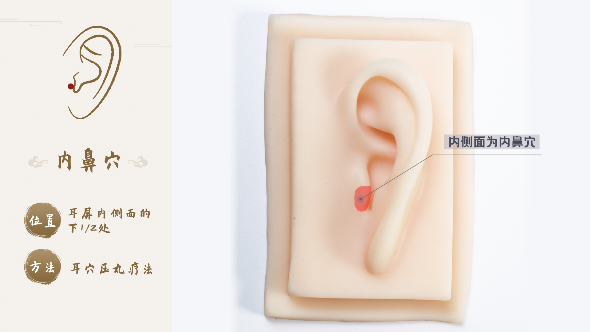 1内鼻穴.png