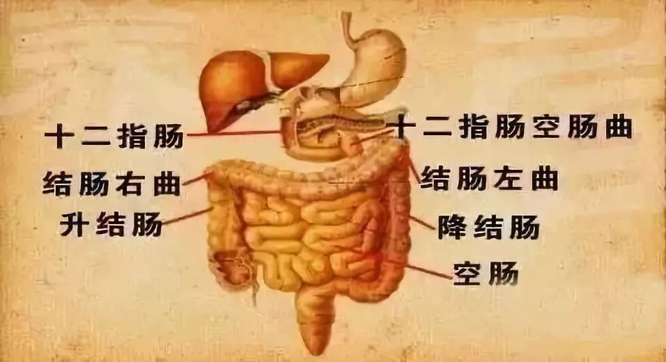 抬脚功的正确做法和作用