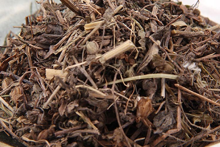 双肾草茎叶药材图 双肾草茎叶药材图