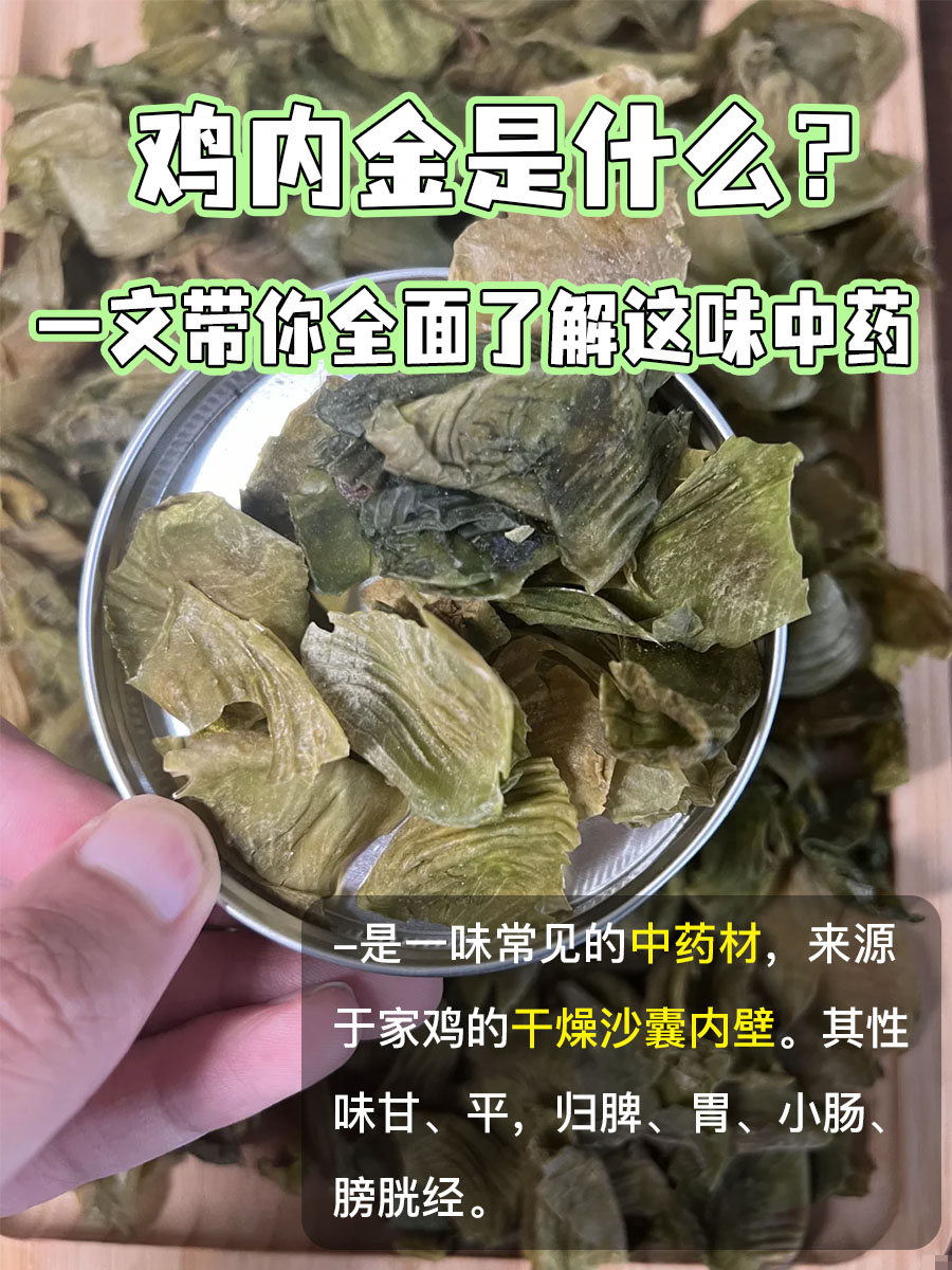 鸡内金是什么?一文带你全面了解这味中药