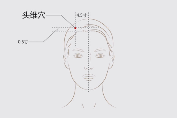 头维的准确位置图图解图片