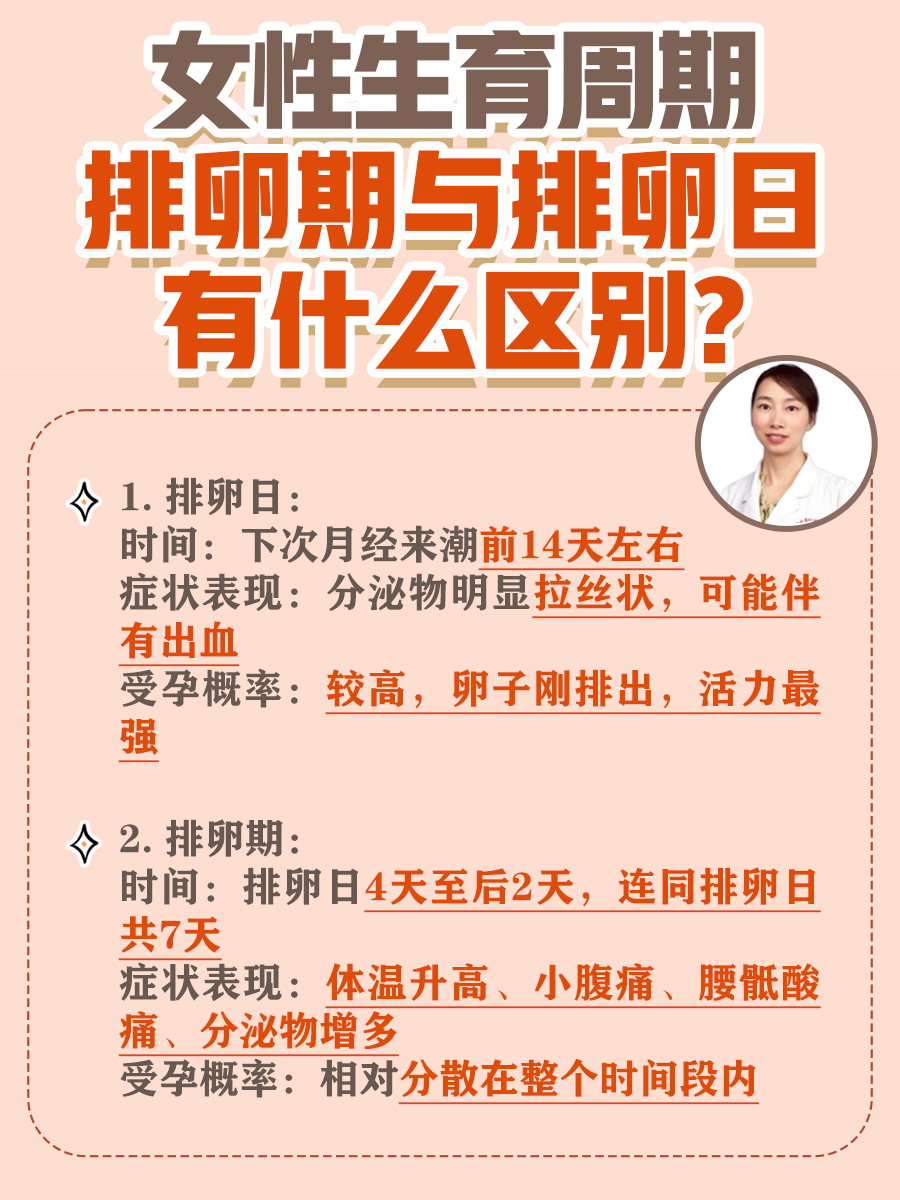 女性生育周期：排卵期与排卵日有什么区别