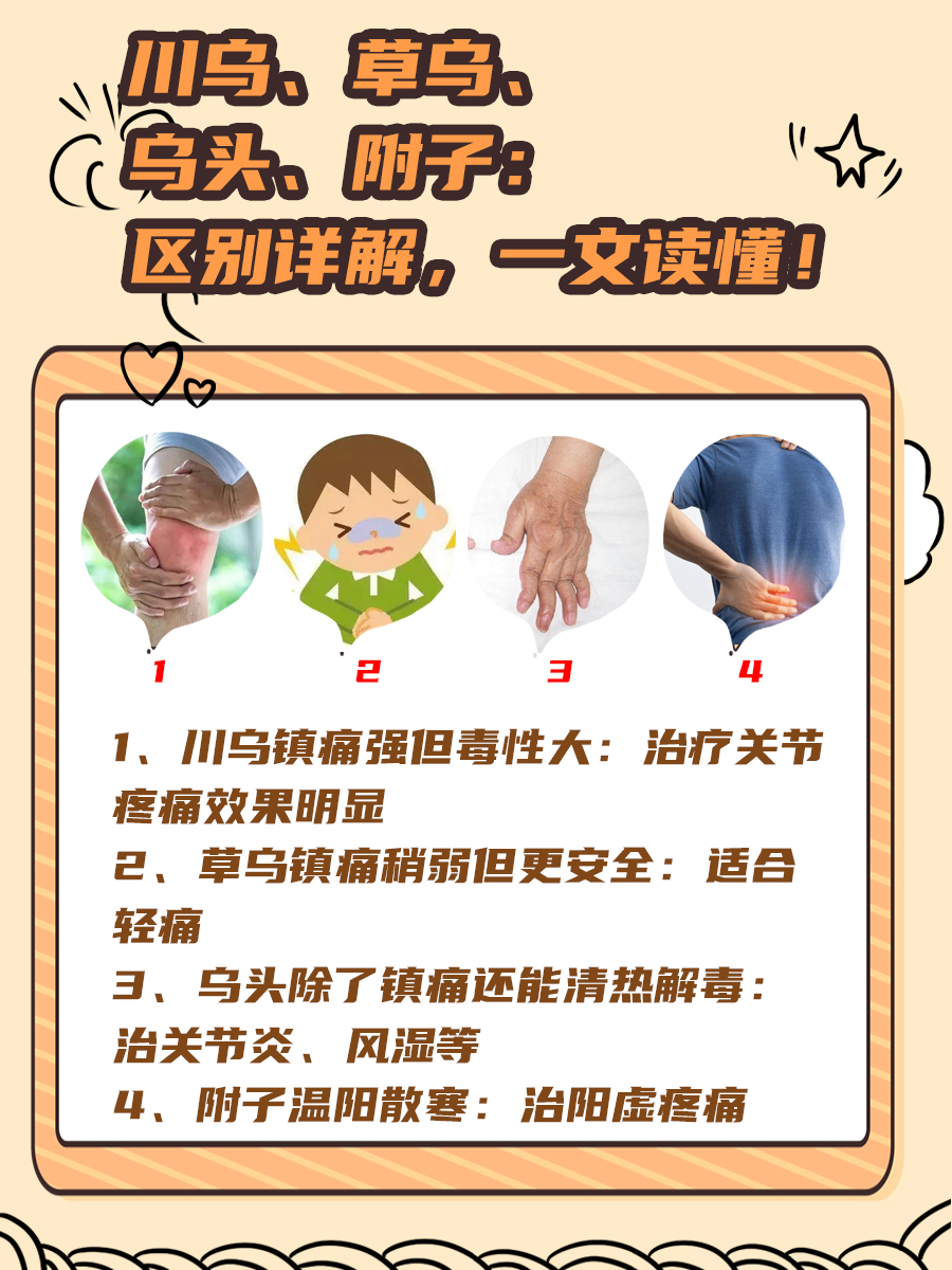 川乌、草乌、乌头、附子：区别详解，一文读懂！