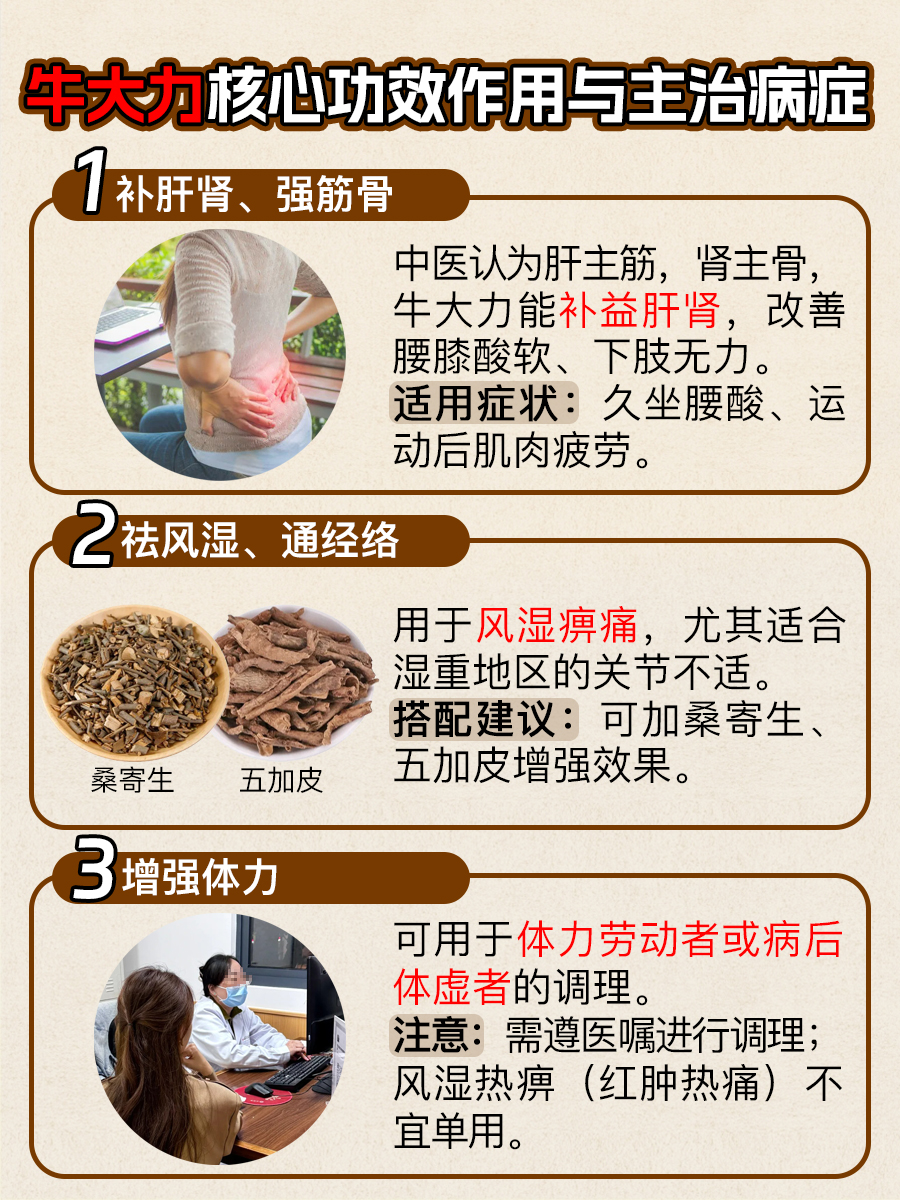 中药材大盘点：牛大力的功效作用与主治