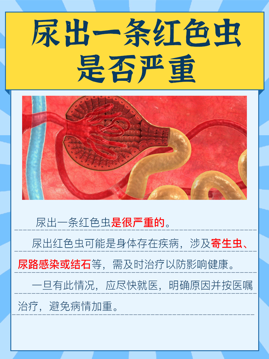 科学解答：尿液中惊现红色虫，到底严不严重？