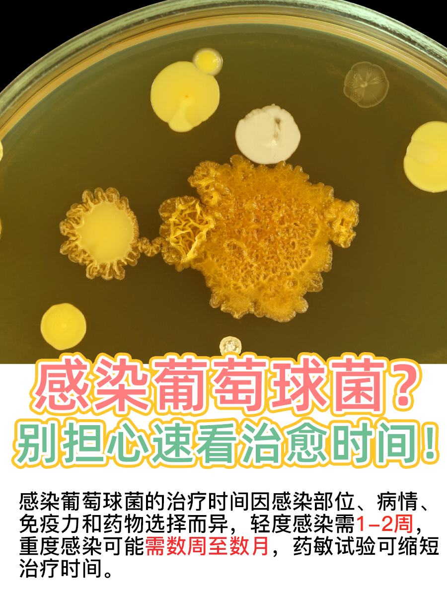 感染葡萄球菌？别担心，速看治愈时间！